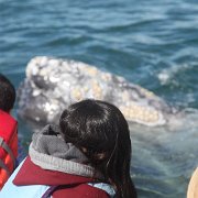IMG 0001 2 (51)